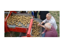 УАВК улучшает производительность картофеля