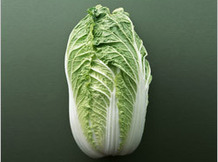 Капуста пекинская Гермес Агро Трейд